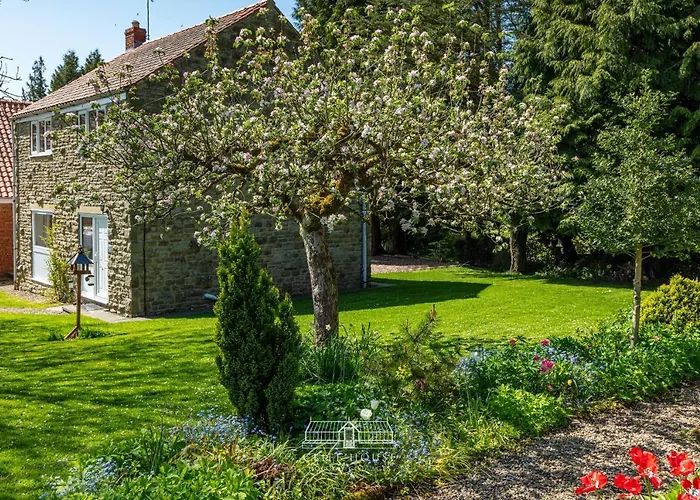 Cliff House Holiday Cottages