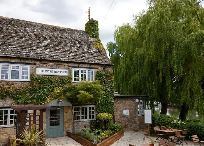 Rose Revived By Chef & Brewer Collection