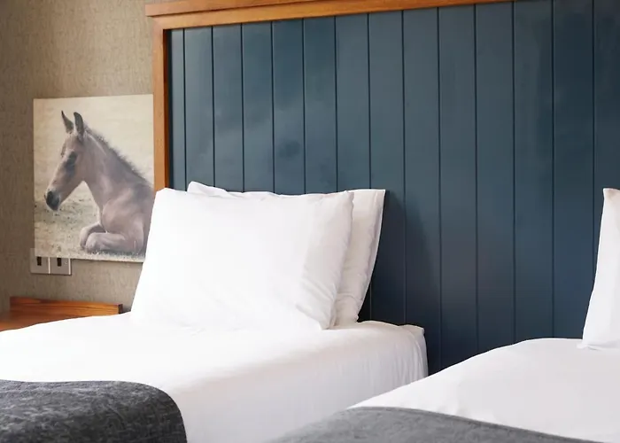 White Rabbit By Chef & Brewer Collection Hotel Lyndhurst, United Kingdom