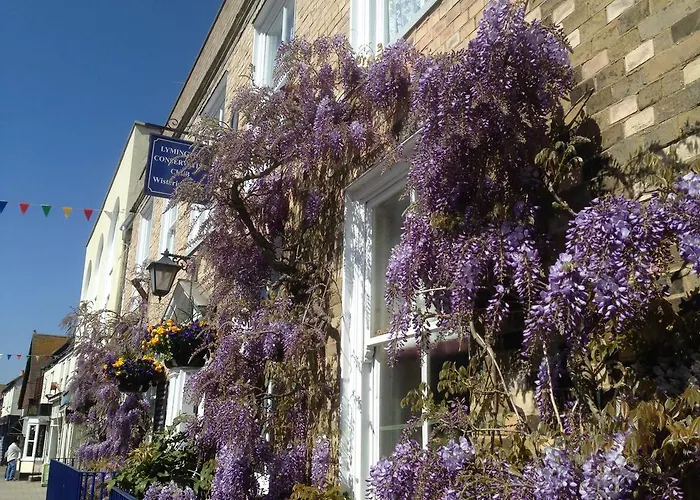 Wisteria House