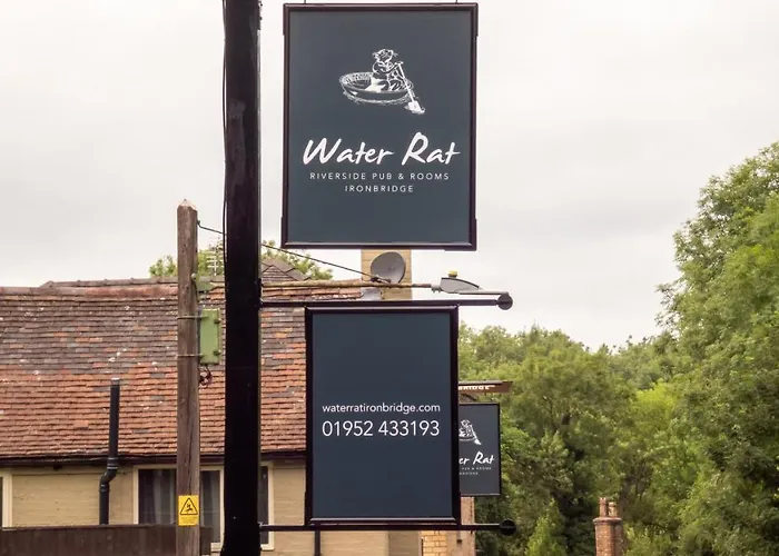 The Water Rat