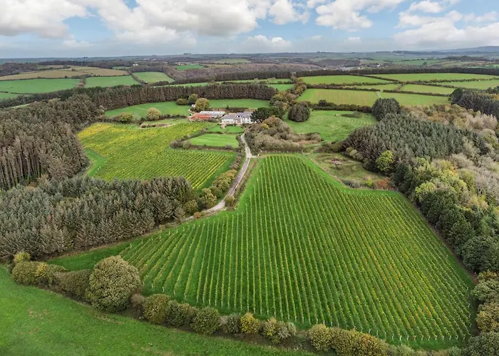 Tregoninny Vineyard And Woodland Farmhouse