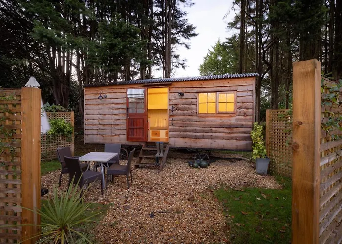 Spot In The Woods Hotel Lyndhurst, United Kingdom