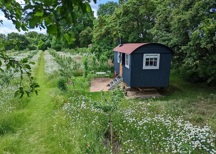 Wellbeing Orchard