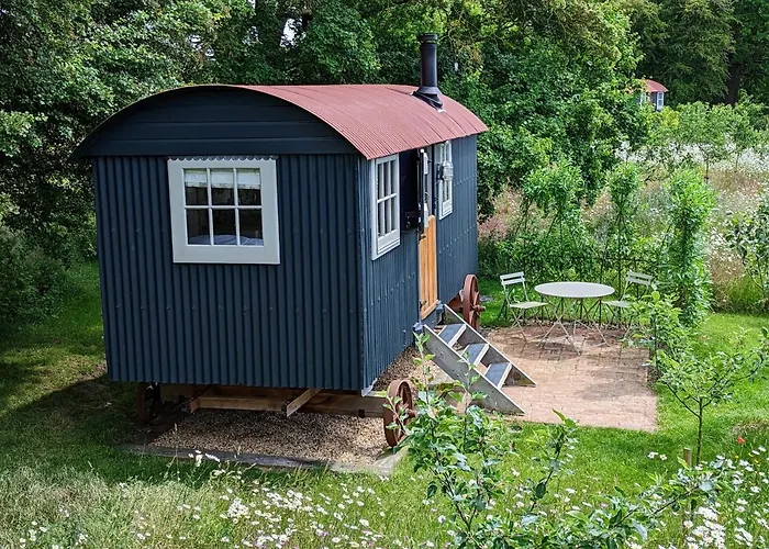 Wellbeing Orchard