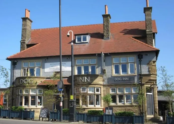 Dog Inn