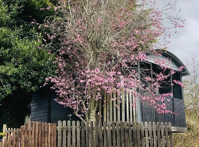 Cherry Tree Gypsy Wagon Sibford Gower