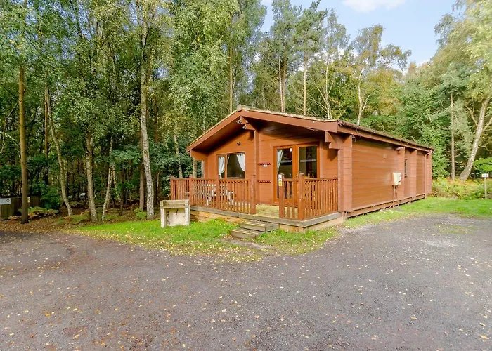 Sherwood Castle Holiday Forest