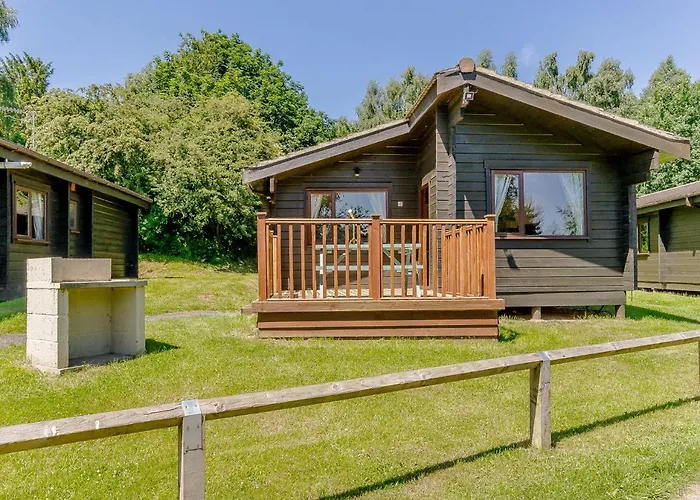 Sherwood Castle Holiday Forest
