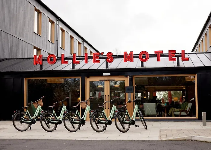 Mollie'S Bristol