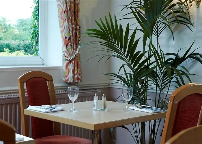 Consort & Urban Spa