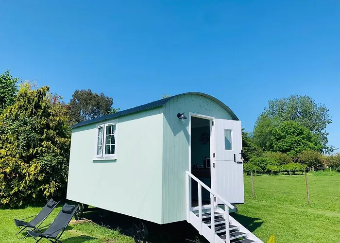 Bells Meadow Shepherds Hut King's Lynn, United Kingdom