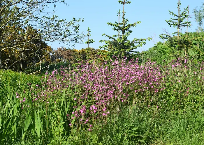 Shepherd'S Loch Glamping