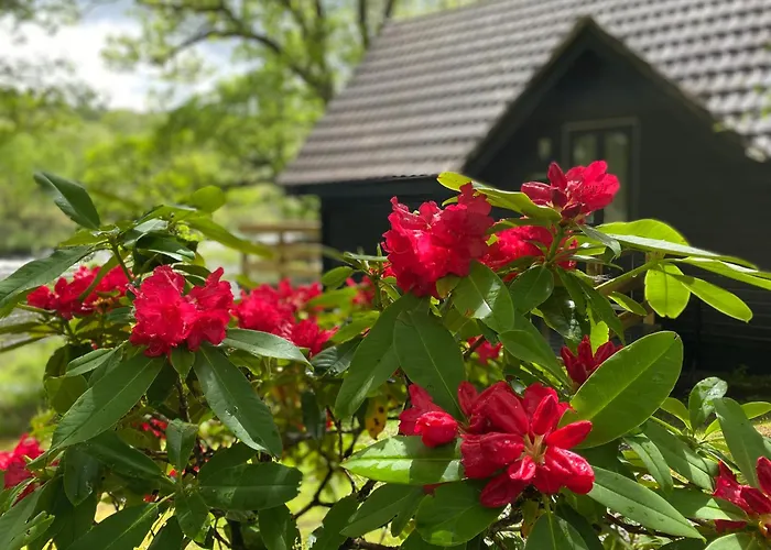 Burnbank Lodges