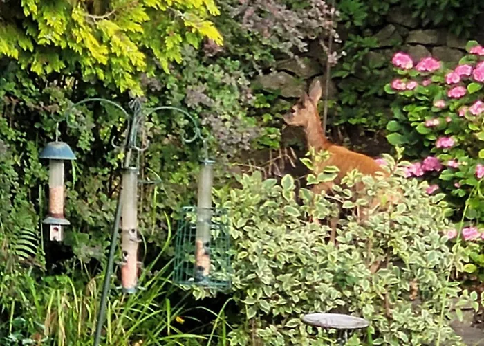 Elton Guest House Grange-over-Sands, United Kingdom
