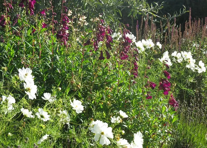 Rock Farm Bed & Breakfast Tarporley, United Kingdom