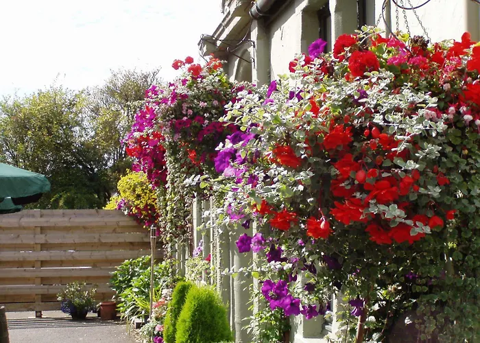 Auld Mill House Hotel