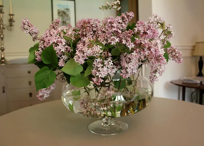 Hazel Manor Guest House Harrogate, United Kingdom