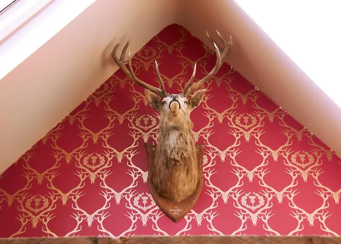 The Museum Inn Farnham , United Kingdom