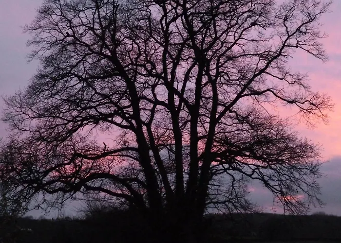 Whidlecombe Farm