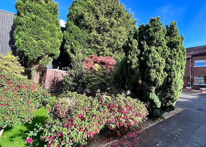 Ashfield Bed & Breakfast