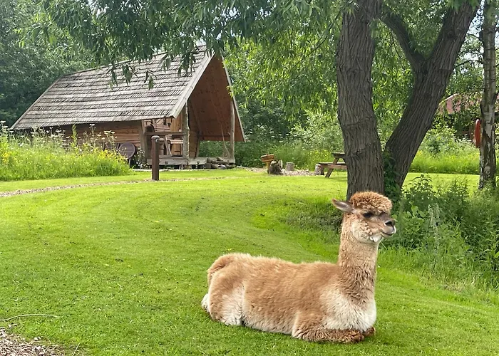 Acorn Glade Glamping York Villa, United Kingdom