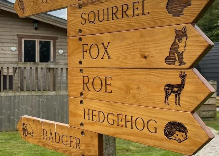 Owlet Lodge At Owlet Hideaway - With Hot Tub, Near York Seaton Ross, United Kingdom