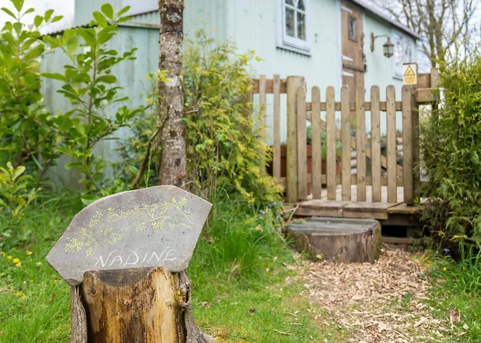 Llethrau Forest & Nature Retreats