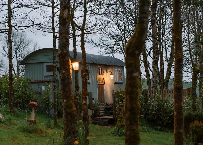 Llethrau Forest & Nature Retreats