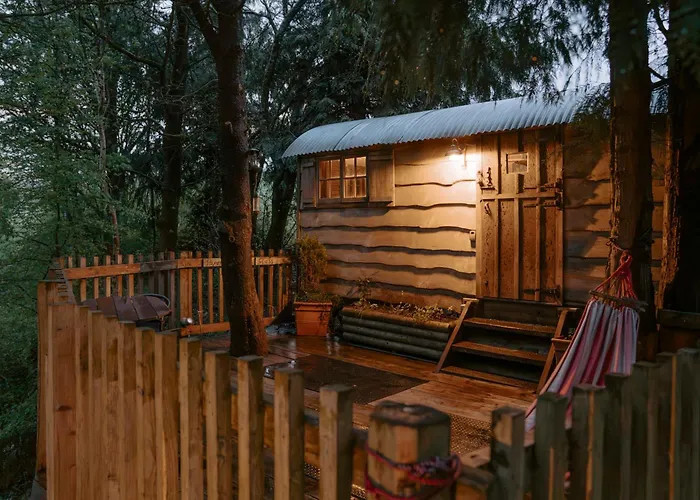 Llethrau Forest & Nature Retreats