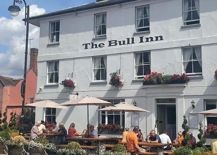 Bull