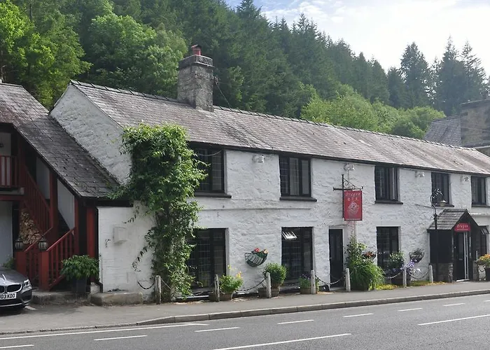 Dragon Bed And Breakfast