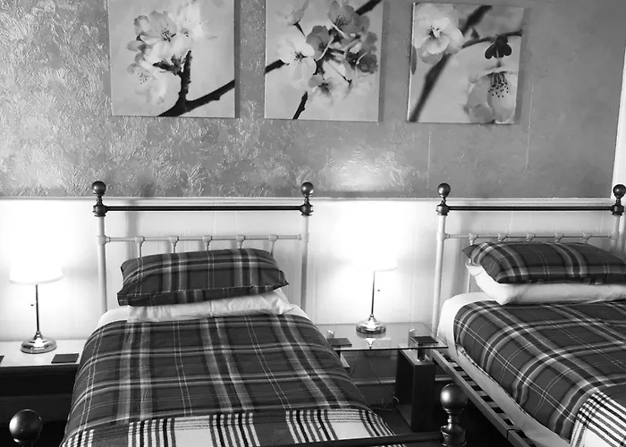 Cameron Guest House
