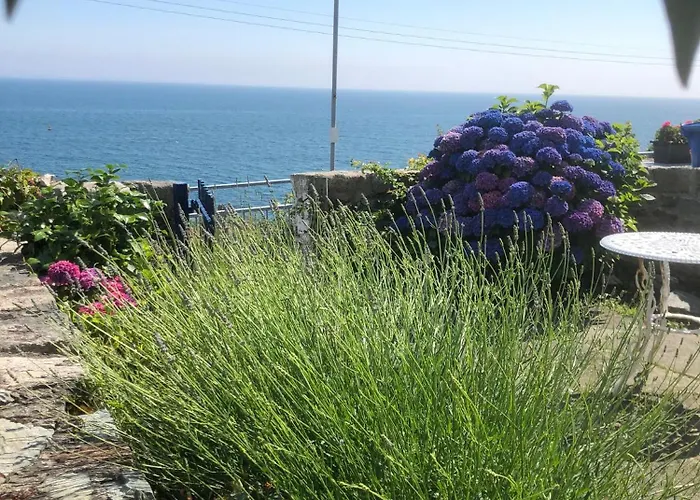 Slieve Donard Cottage Widows Row Cottages