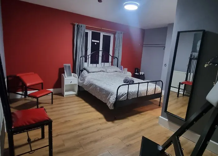 Xtasia Adult - Adults Only