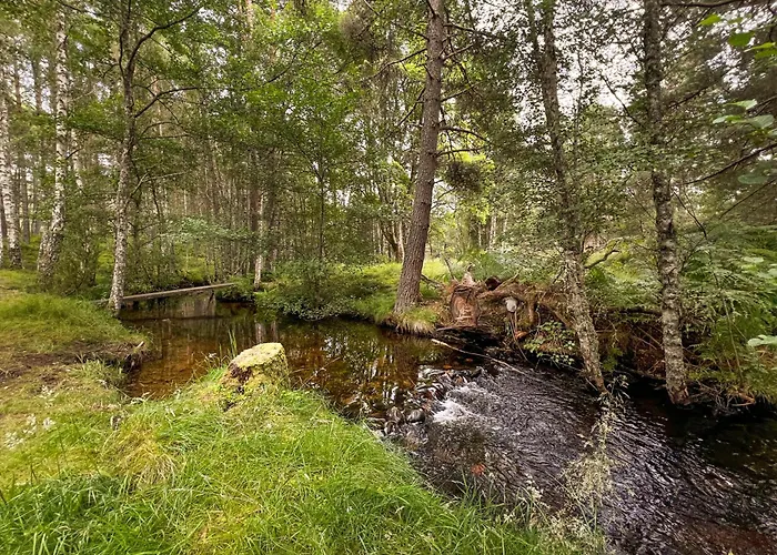 Cairngorm Lodge Rothiemurchus