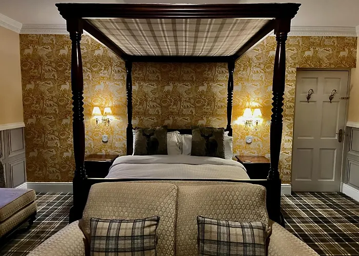 Highland Bear Lodge & Woodland Bear Huts