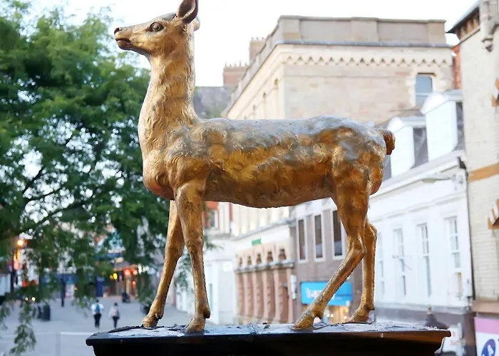 Hind