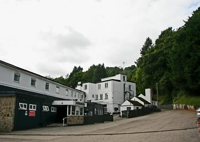 The Paddocks Hotel