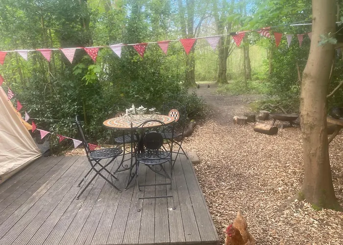 Hollington Park Glamping