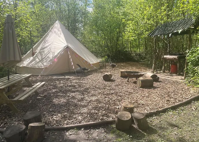 Hollington Park Glamping