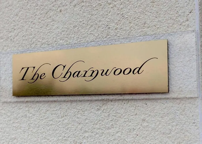 Sav s Clarence Street-