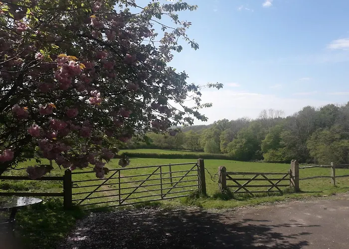 Moaps Farm B&B Support Small Business, Welcome, Check In From 5 Pm Danehill, United Kingdom