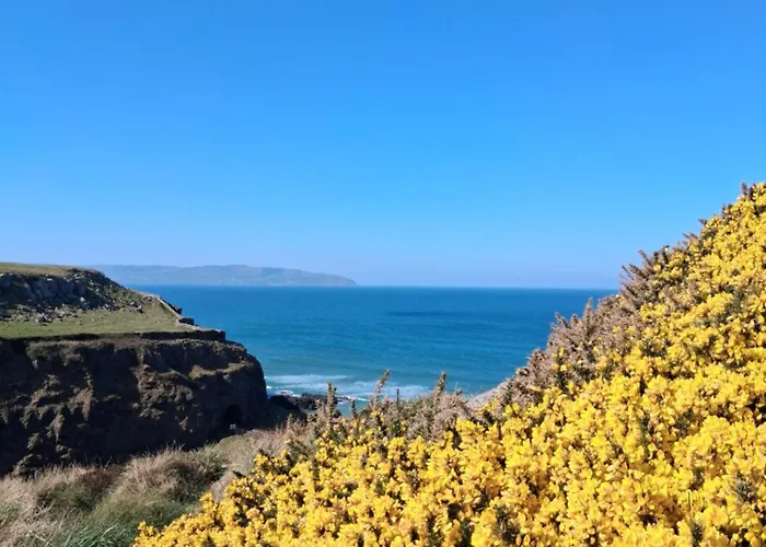 Cissy'S Cottage - Traditional Thatched Cottage, On The Causeway Coast Aghanloo, United Kingdom