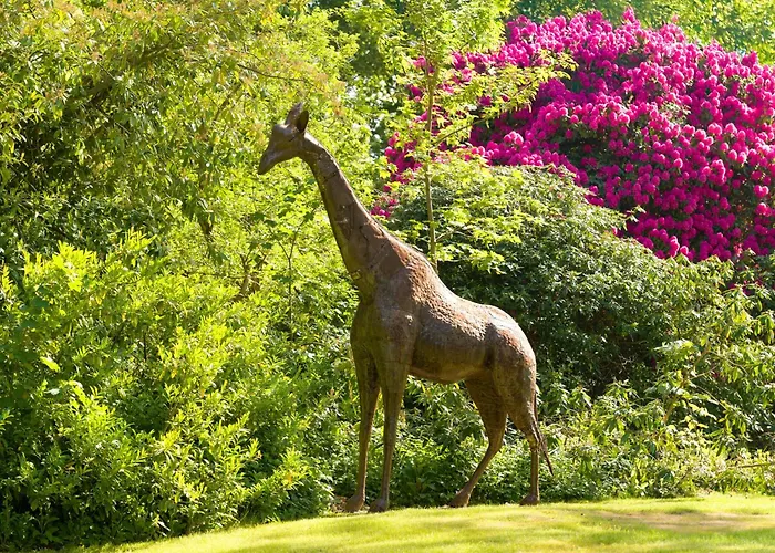 Tyrrells Park Bed & Breakfast Ringwood, United Kingdom