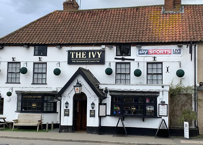 The Ivy