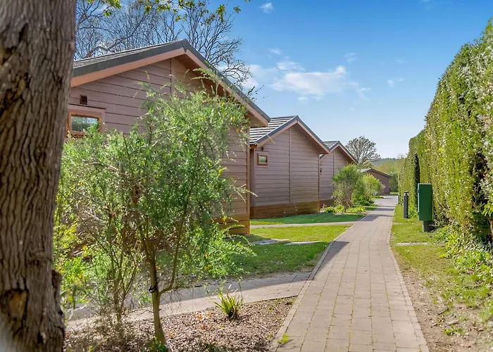 Wareham Forest Lodge Retreat