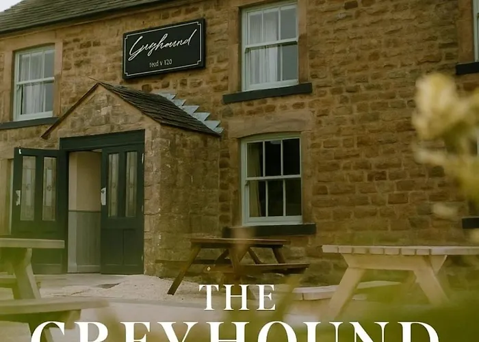 Greyhound