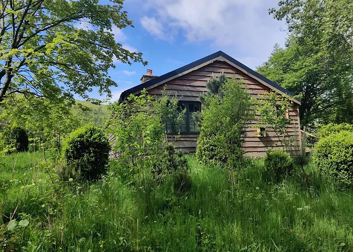 The Hare'S Shack