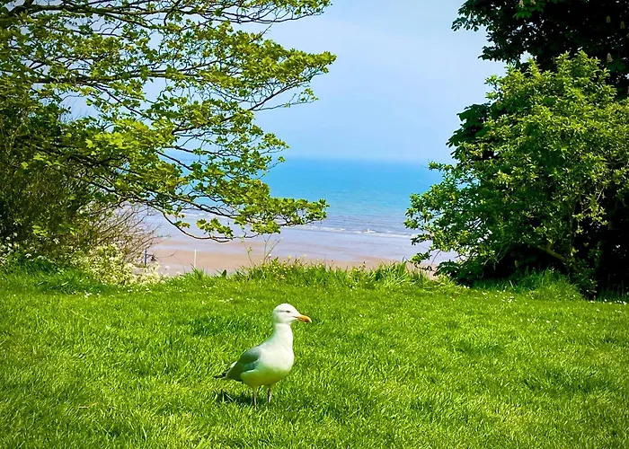 The Bay, Filey, Moonshine Cottage